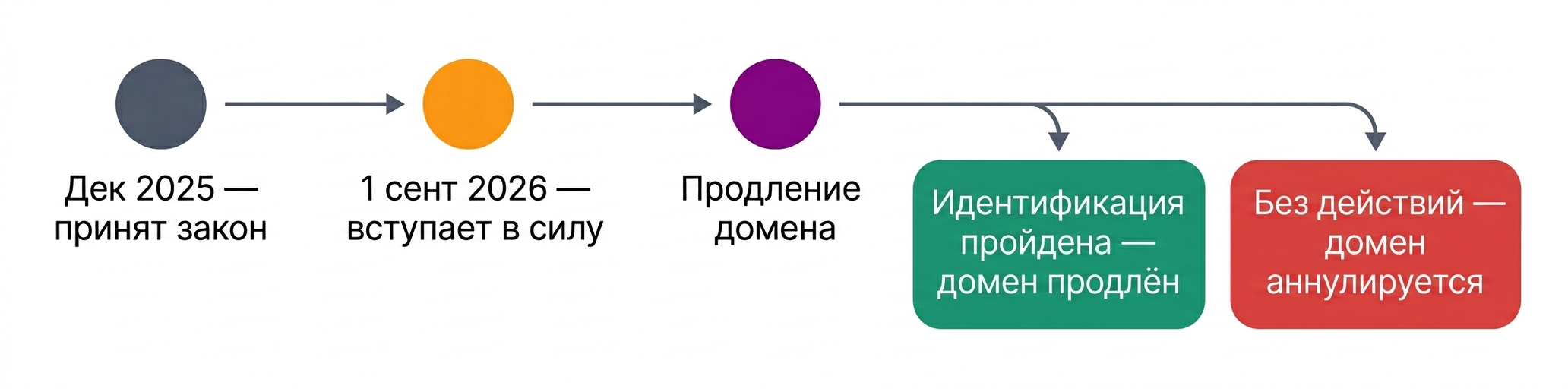 Таймлайн: от принятия закона в декабре 2025 через 1 сентября 2026 к развилке &mdash; домен продлён или аннулирован