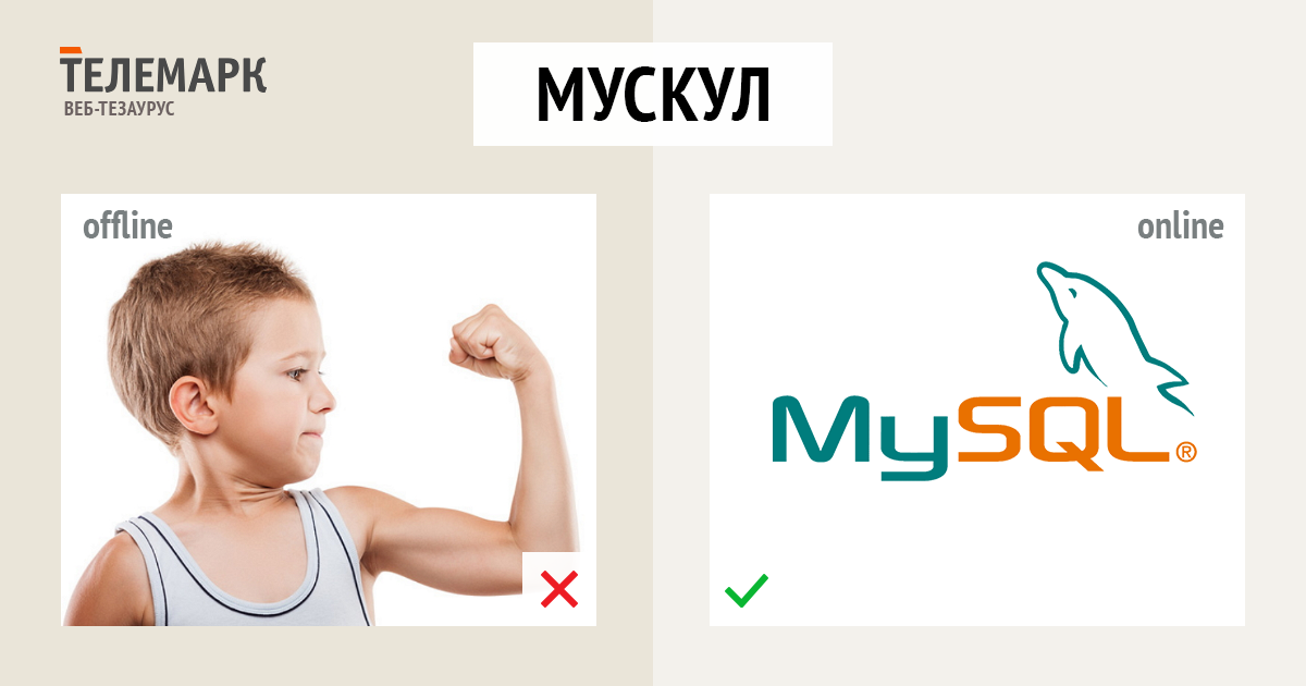 Мускул