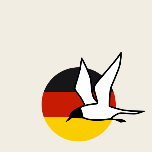 Адаптация сайта под мобильные устройства