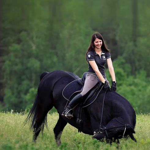 Разработка и запуск сайта для компании за 3 дня