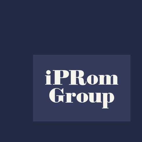 Сайт для компании iPRom Group Сайт для компании iPRom Group